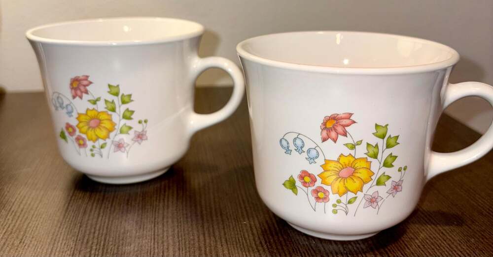 Vintage Corelle Spring Meadow Mugs – Set of 2 | Classic 1976-1986 Pattern